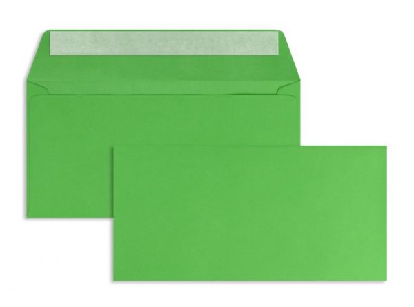 Briefumschlag 110 x 220 mm (DIN Lang) - 100 Stück / VE - Grün